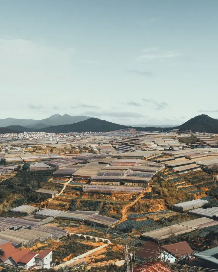 Tại Ngô Thiện Lợi
